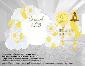 Фотозона Ромашка1