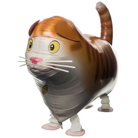Котик